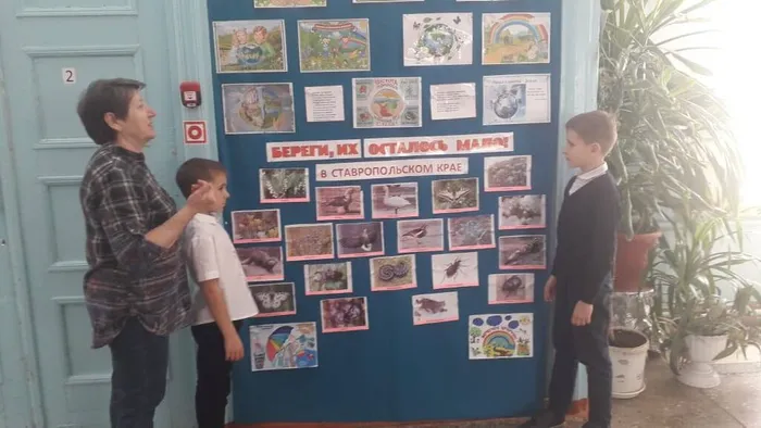 Выстовка экологическая