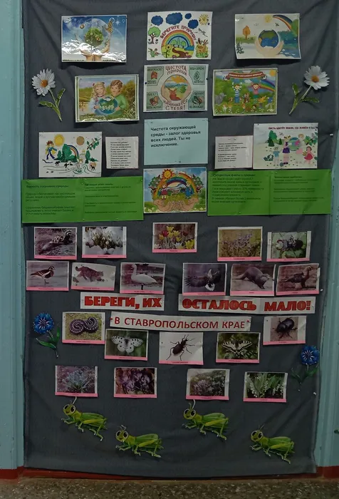 Стенд Пусть цветёт земля, где живём и ты, и я!