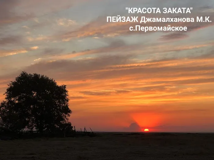 IMG-20240914-WA0016